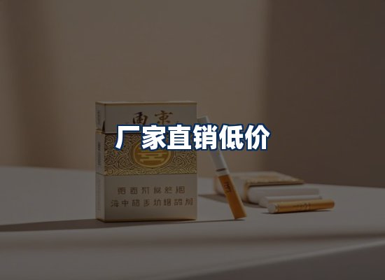 专业团队办公环境
